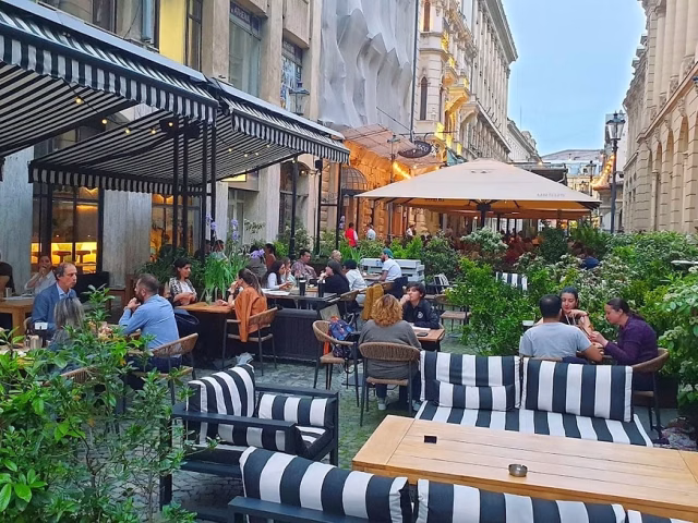 Piața restaurantelor din România: Micii antreprenori, forța dominantă